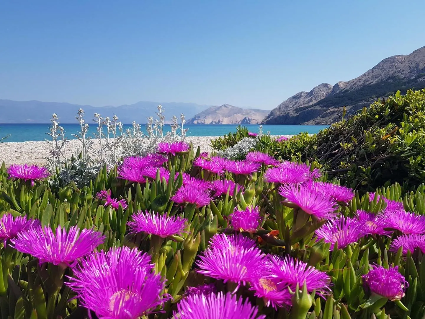 Apartment Bakrac Beach Baska  Croatia